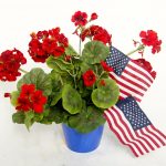 4th July Red and Blue Flowers Baskets Gift Ideas 2024