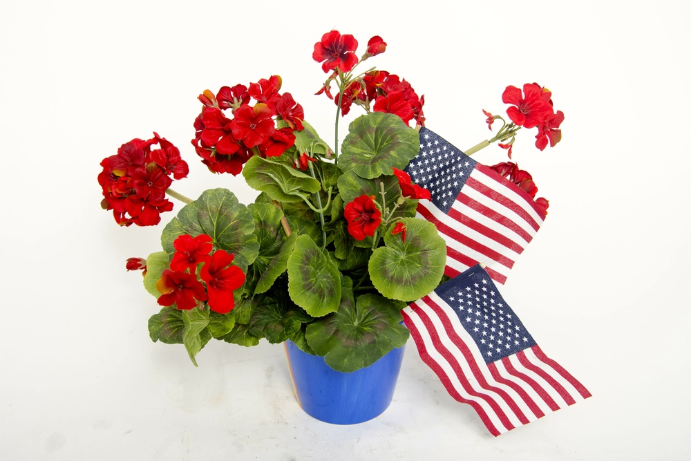 4th July Flowers Baskets 06